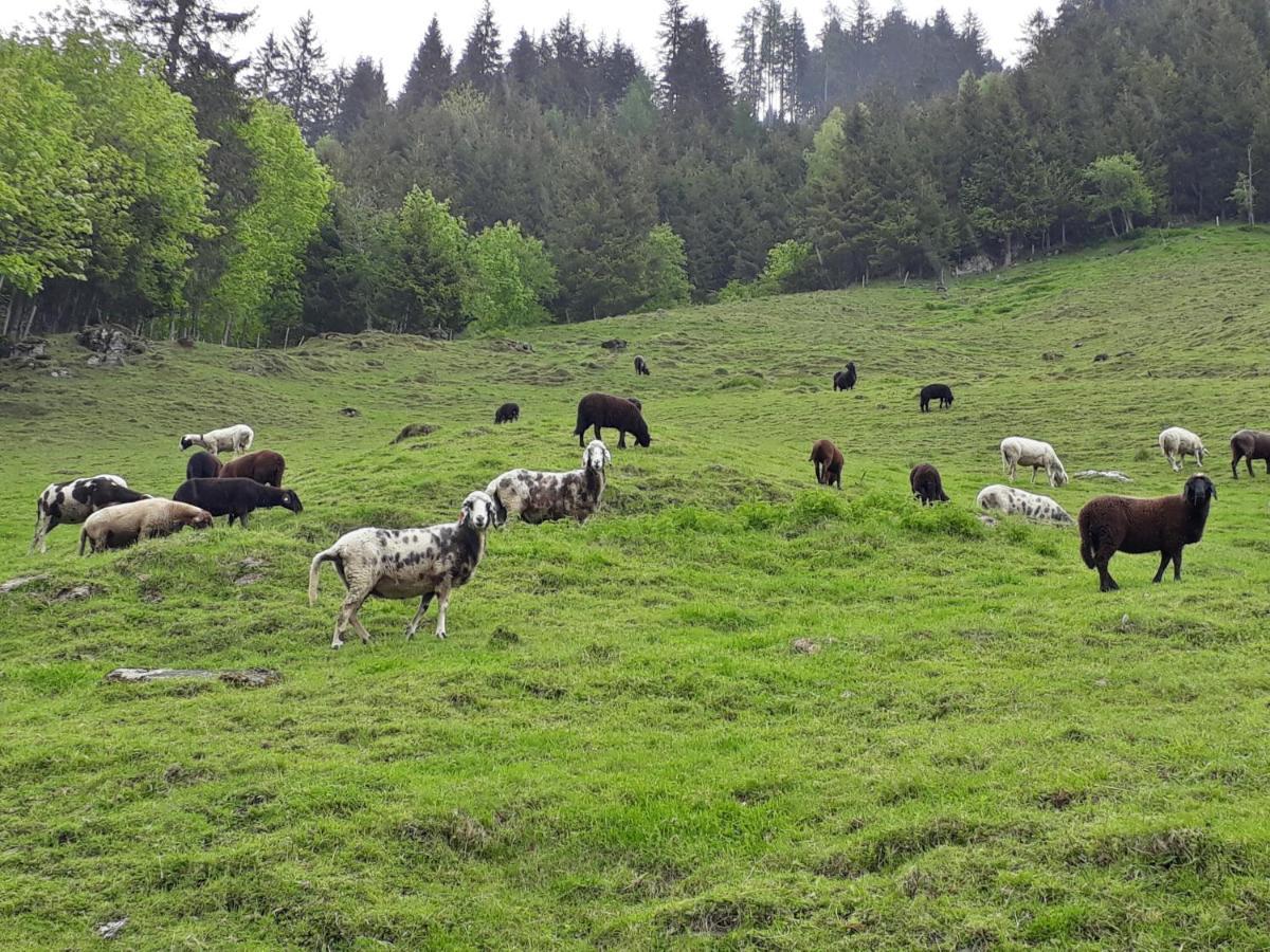 Stallerhof Huttschlag Bagian luar foto